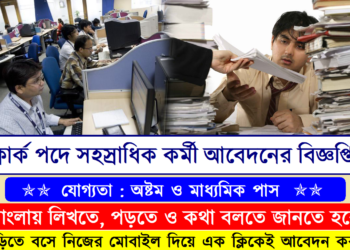 Nainital Bank – Management Trainee and Clerks Recruitment Apply 2024