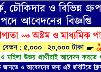 Chowkidar, Safaiwala, Primary Assistant Teacher, Clerk, Stenographer Recruitment Apply 2025