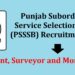 The Punjab Subordinate Service Selection Board (PSSSB)