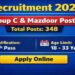Forest Department Mazdoor & Grou-C Posts Recruitment