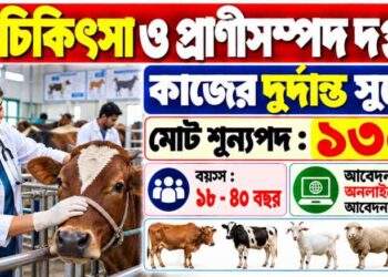 SSSC Veterinary 1,308 Posts Recruitment Apply 2026
